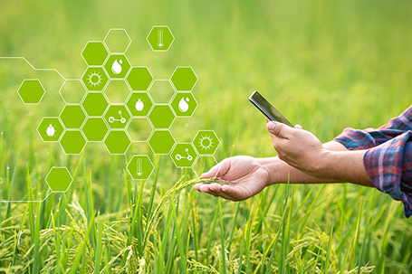 Điện toán đám mây- cơ hội phát triển của nông nghiệp số